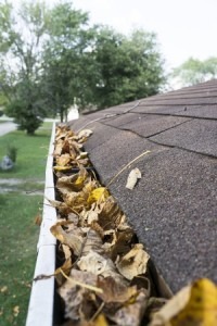 drainage